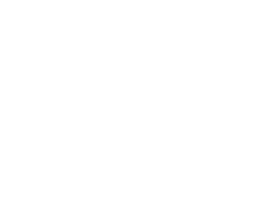 Ntreis